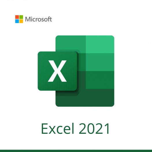 Microsoft Excel 2021