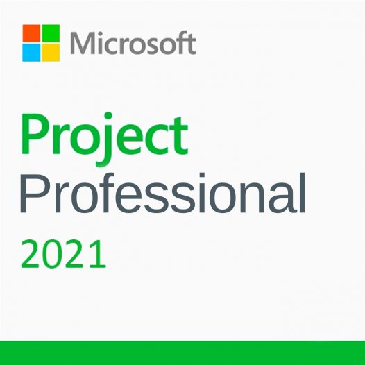 Microsoft Project Professional 2021